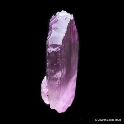 Terminated Pink Kunzite from Afghanistan