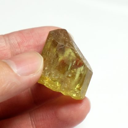 Gemmy Terminated Yellow Apatite Crystal from Durango, Mexico