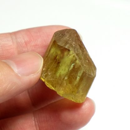 Gemmy Terminated Yellow Apatite Crystal from Durango, Mexico