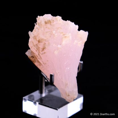 Spray of Pink Manganoan Calcite from Huanggang Mine, Inner Mongolia, China