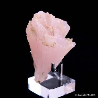 Spray of Pink Manganoan Calcite from Huanggang Mine, Inner Mongolia, China