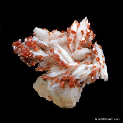 Vanadinite on Baryte from Morocco