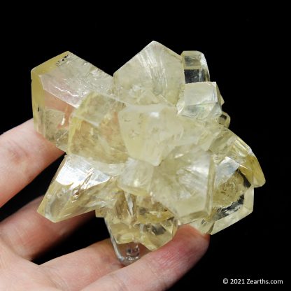 Selenite "Flower" from Red River Floodway, Winnipeg, Manitoba, Canada