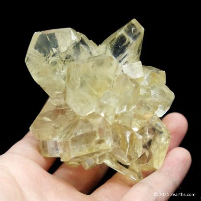 Selenite "Flower" from Red River Floodway, Winnipeg, Manitoba, Canada