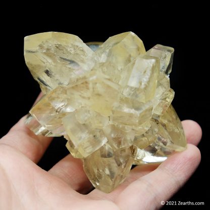 Selenite "Flower" from Red River Floodway, Winnipeg, Manitoba, Canada