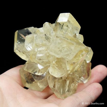 Selenite "Flower" from Red River Floodway, Winnipeg, Manitoba, Canada