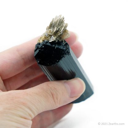 Double-Terminated Black Tourmaline var. Schorl on Star Mica from Skardu, Pakistan