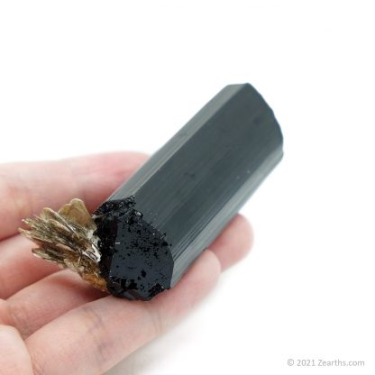 Double-Terminated Black Tourmaline var. Schorl on Star Mica from Skardu, Pakistan