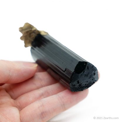 Double-Terminated Black Tourmaline var. Schorl on Star Mica from Skardu, Pakistan