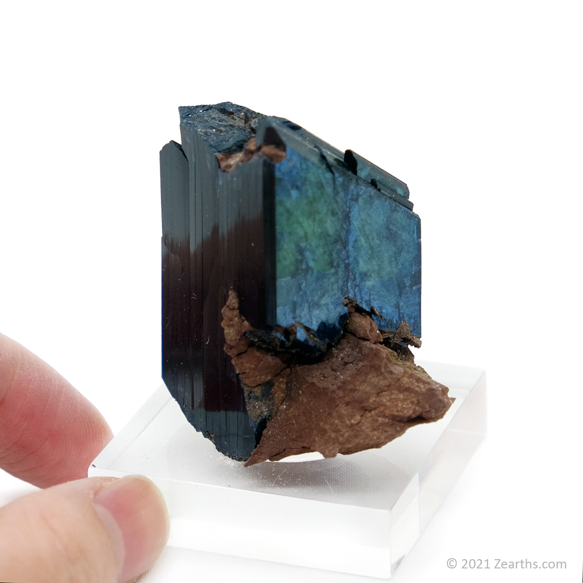 DSCF5346 Well-terminated Vivianite Crystal from Tomokoni Mine, Bolivia