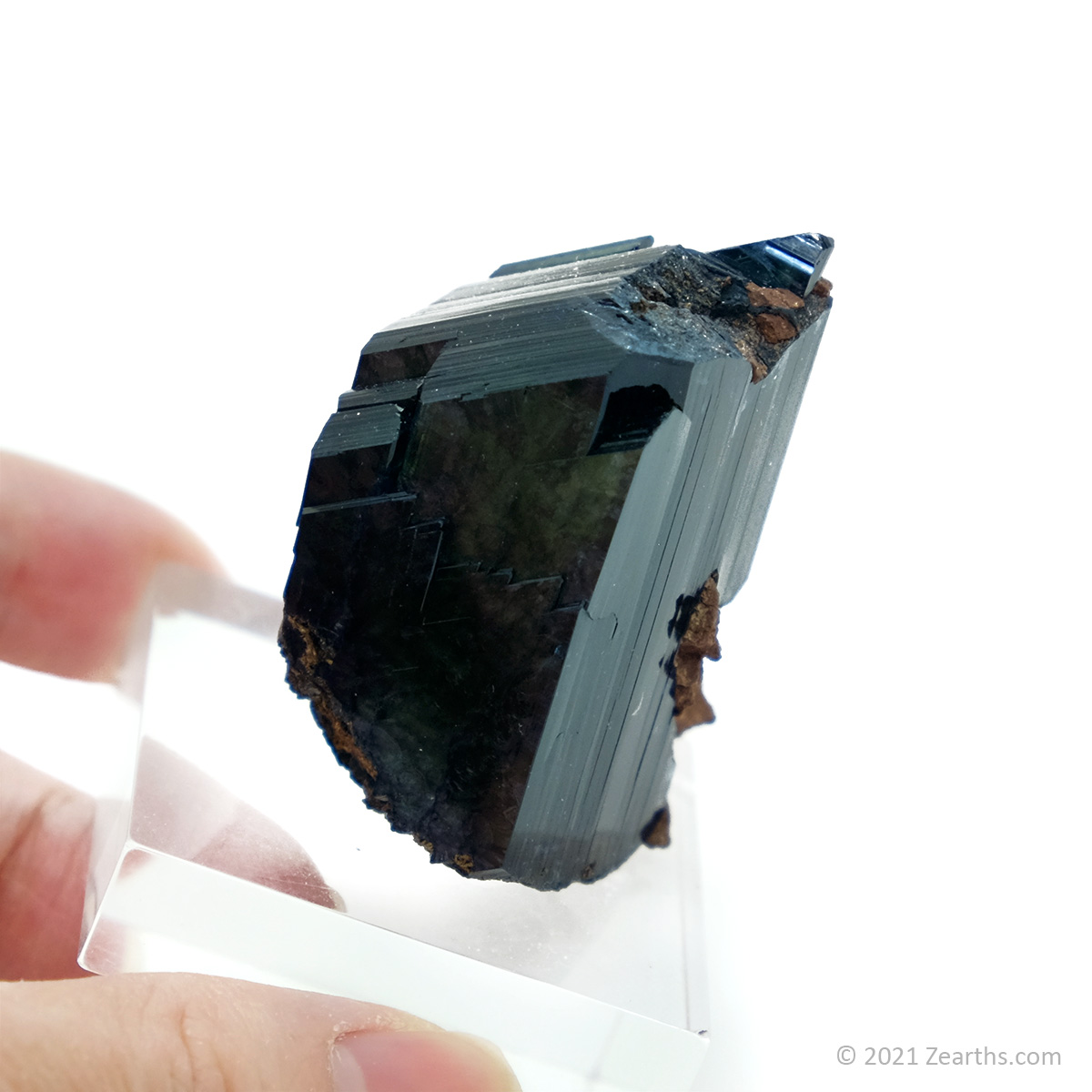 DSCF5351 Well-terminated Vivianite Crystal from Tomokoni Mine, Bolivia