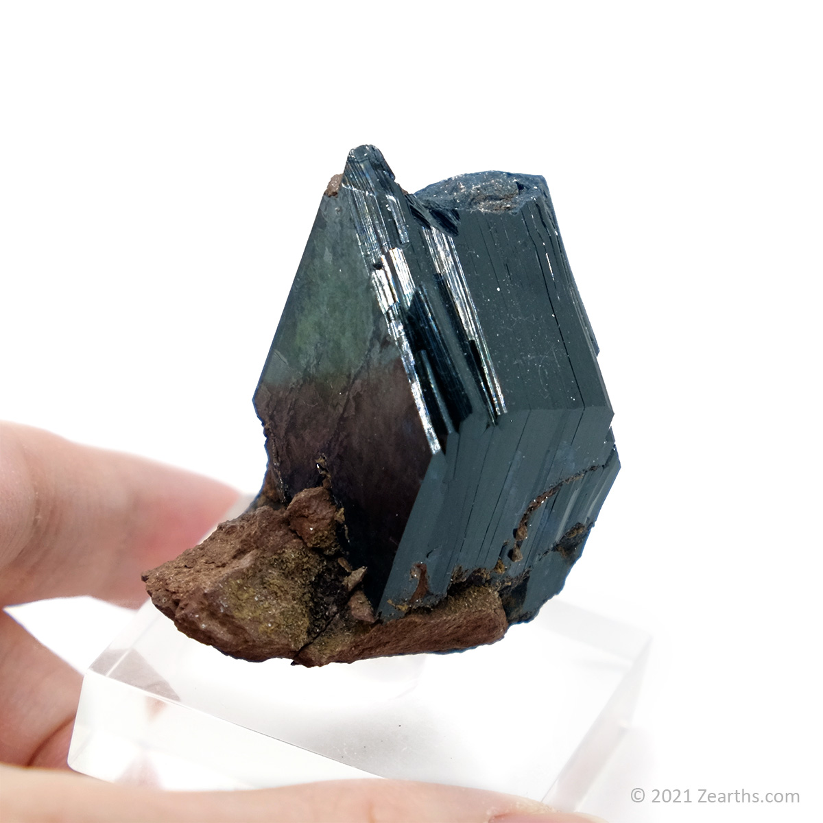 DSCF5356 Well-terminated Vivianite Crystal from Tomokoni Mine, Bolivia