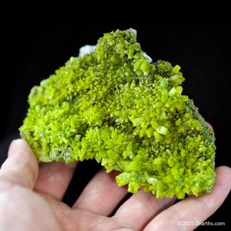 Extra Large Bright Green Pyromorphite Crystals from Daoping Mine, Guangxi, China