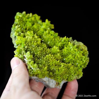 Extra Large Bright Green Pyromorphite Crystals from Daoping Mine, Guangxi, China