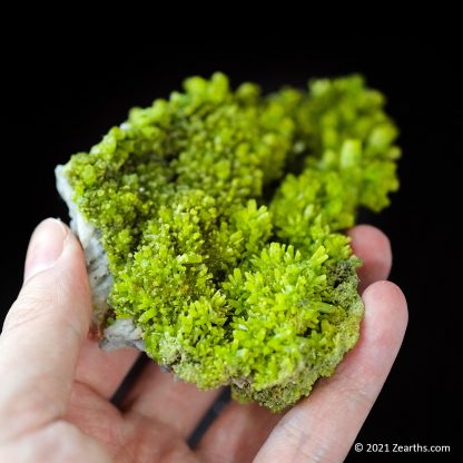 Extra Large Bright Green Pyromorphite Crystals from Daoping Mine, Guangxi, China