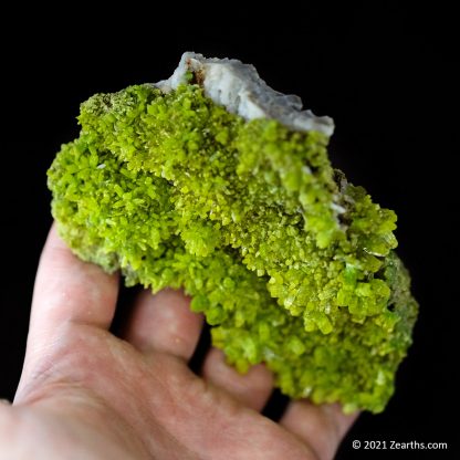 Extra Large Bright Green Pyromorphite Crystals from Daoping Mine, Guangxi, China