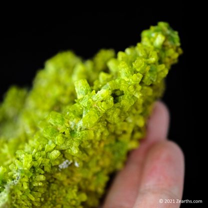 Extra Large Bright Green Pyromorphite Crystals from Daoping Mine, Guangxi, China