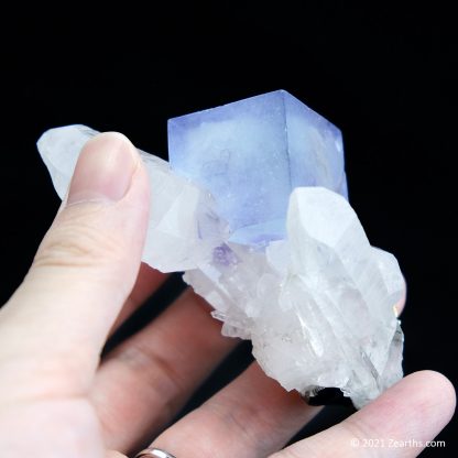 Blue Fluorite Cube on Quartz from Yaogangxian Mine, China