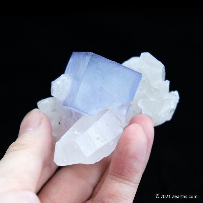 Blue Fluorite Cube on Quartz from Yaogangxian Mine, China