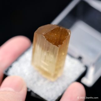 Well-Terminated Yellow Gem Scapolite Crystal from Tanzania
