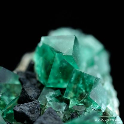 Color-Changing Fluorite Twins with Octahedral Galena from Rogerley Mine, Weardale, England