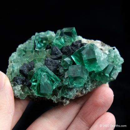 Color-Changing Fluorite Twins with Octahedral Galena from Rogerley Mine, Weardale, England