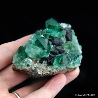 Color-Changing Fluorite Twins with Octahedral Galena from Rogerley Mine, Weardale, England