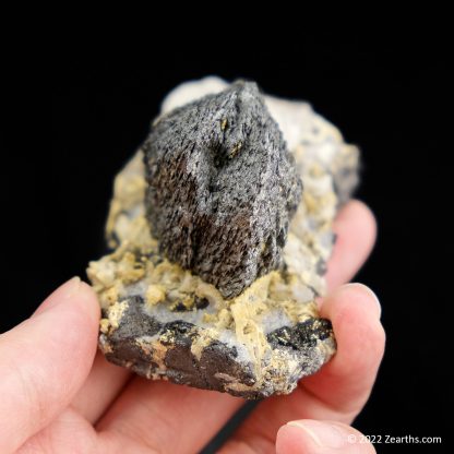 Loellingite Spray on Magnetite from Huanggang Mine, Inner Mongolia, China