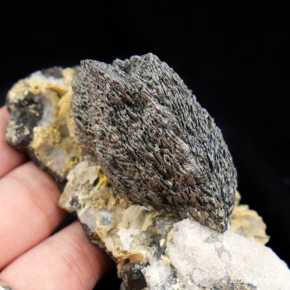 Loellingite Spray on Magnetite from Huanggang Mine, Inner Mongolia, China