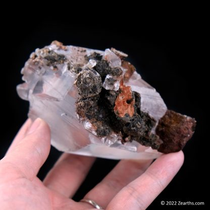 Well-Terminated Selenite Crystal from Naica, Chihuahua, Mexico