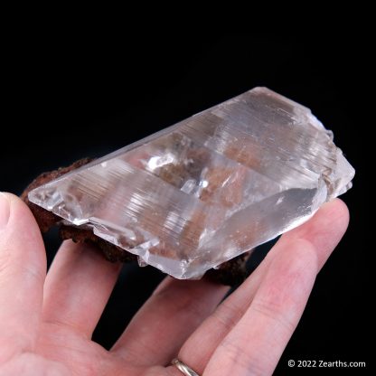 Well-Terminated Selenite Crystal from Naica, Chihuahua, Mexico