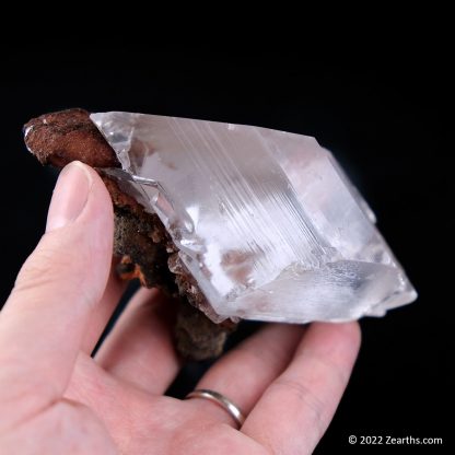 Well-Terminated Selenite Crystal from Naica, Chihuahua, Mexico