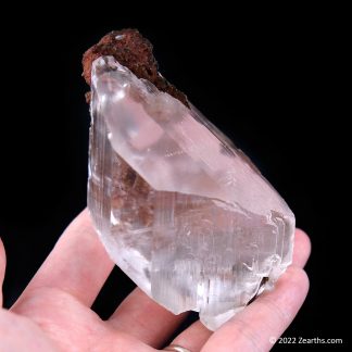 Well-Terminated Selenite Crystal from Naica, Chihuahua, Mexico