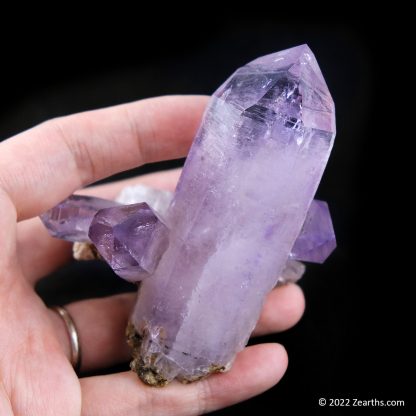 Cluster of Extra Large Amethyst Crystals from Veracruz, Mexico