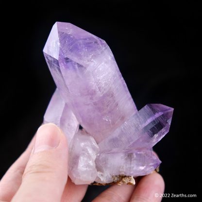 Cluster of Extra Large Amethyst Crystals from Veracruz, Mexico