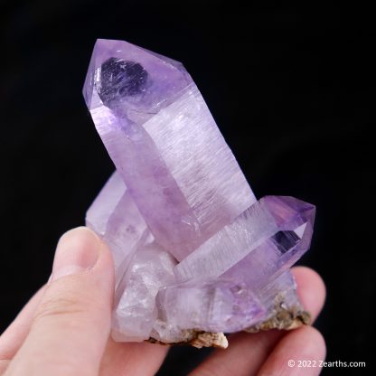 Cluster of Extra Large Amethyst Crystals from Veracruz, Mexico