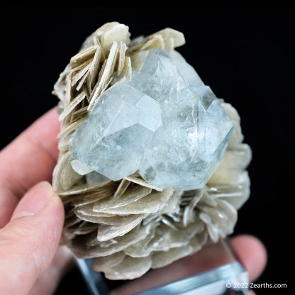 Tabular Aquamarine Crystals on Muscovite from Mt. Xuebaoding, Sichuan, China