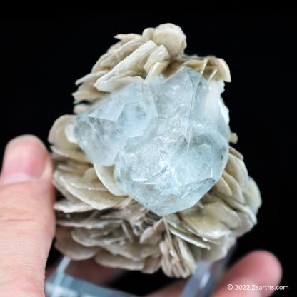 Tabular Aquamarine Crystals on Muscovite from Mt. Xuebaoding, Sichuan, China