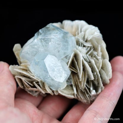 Tabular Aquamarine Crystals on Muscovite from Mt. Xuebaoding, Sichuan, China