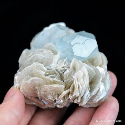 Tabular Aquamarine Crystals on Muscovite from Mt. Xuebaoding, Sichuan, China