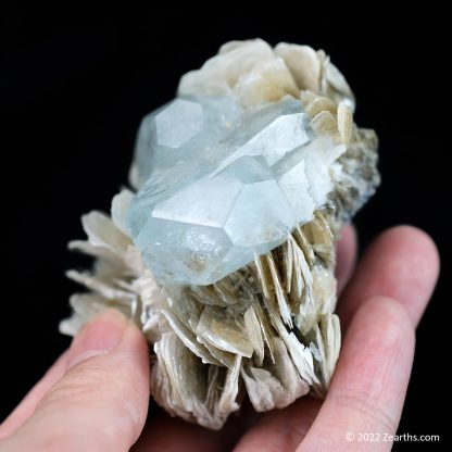 Tabular Aquamarine Crystals on Muscovite from Mt. Xuebaoding, Sichuan, China