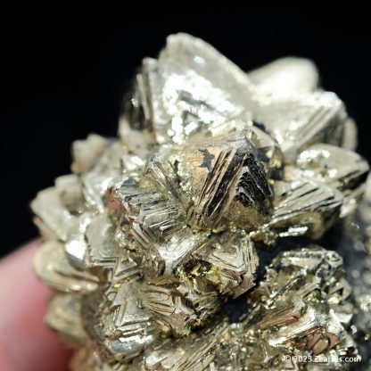 Pyrite "Flower" Pseudomorph after Marcasite Crystals from Abbottabad, KPK, Pakistan