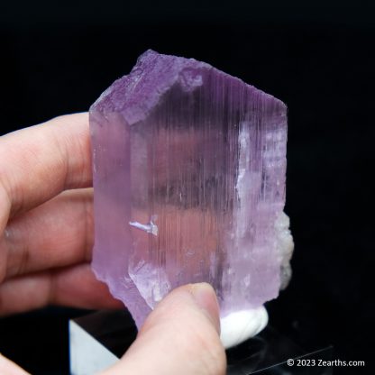 Well-Terminated Pink Spodumene Kunzite Crystal w/ Green Tourmaline Matrix, Dara-e-Pech, Afghanistan