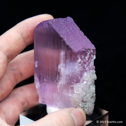 Well-Terminated Pink Spodumene Kunzite Crystal w/ Green Tourmaline Matrix, Dara-e-Pech, Afghanistan