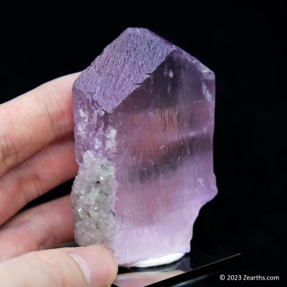 Well-Terminated Pink Spodumene Kunzite Crystal w/ Green Tourmaline Matrix, Dara-e-Pech, Afghanistan