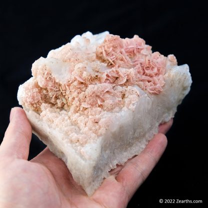 Pink Rhodochrosite Roses on Quartz from Cangwu Co., Wuzhou, Guangxi, China