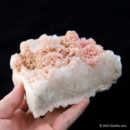 Pink Rhodochrosite Roses on Quartz from Cangwu Co., Wuzhou, Guangxi, China