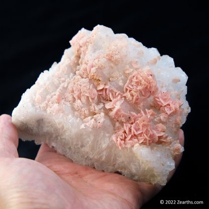 Pink Rhodochrosite Roses on Quartz from Cangwu Co., Wuzhou, Guangxi, China