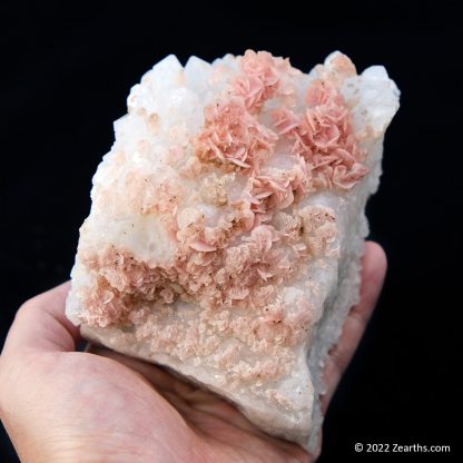 Pink Rhodochrosite Roses on Quartz from Cangwu Co., Wuzhou, Guangxi, China