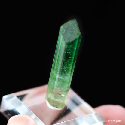 Well-Terminated Gem Green Tourmaline var. Elbaite Crystal from Paprok, Afghanistan